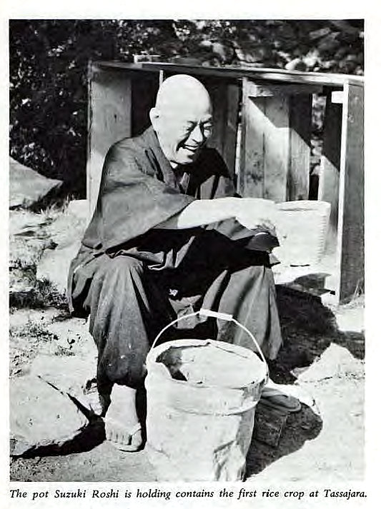 Machine generated alternative text:
The pot Suzuki Roshi is holding contains the first rice crop at Tassajara. 